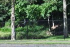 Black Mountain NSWchainlink-fencing-9.jpg; ?>